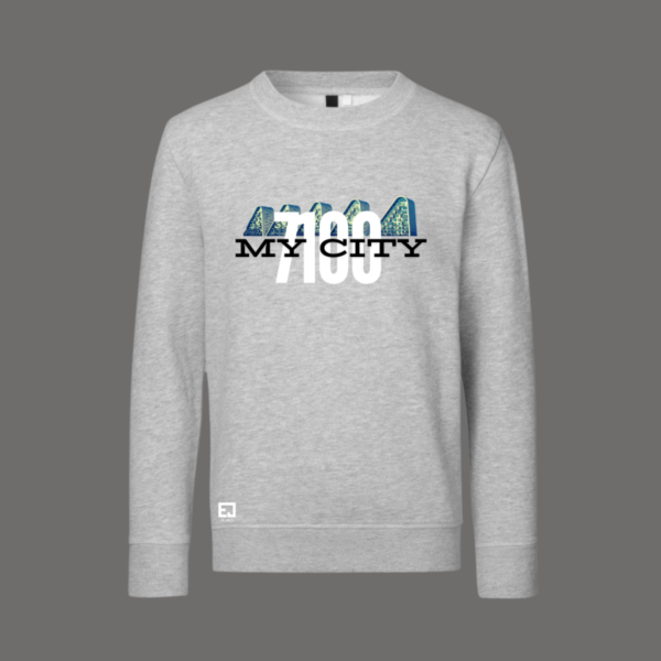Sweatshirt Vejle 7100